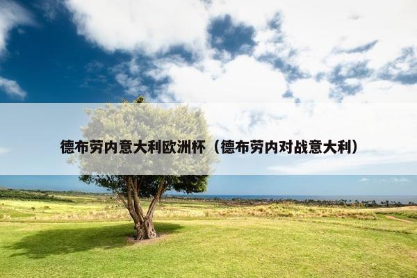 德布劳内意大利欧洲杯（德布劳内对战意大利）