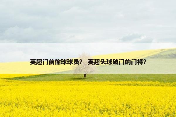 英超门前偷球球员？ 英超头球破门的门将？