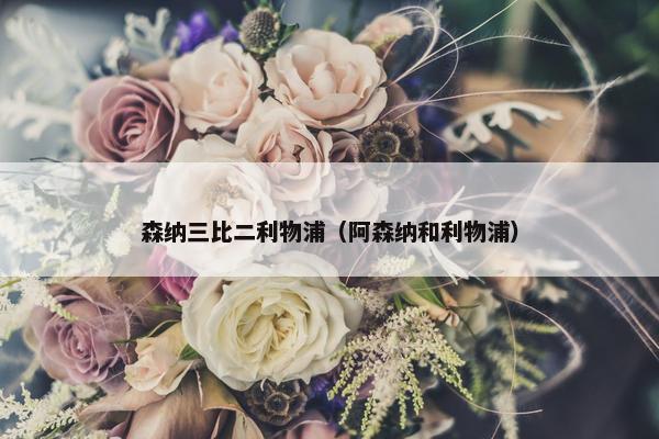 森纳三比二利物浦（阿森纳和利物浦）