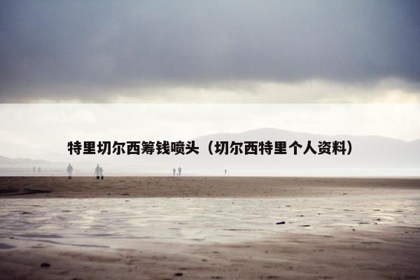 特里切尔西筹钱喷头（切尔西特里个人资料）