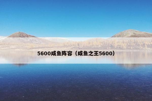 5600咸鱼阵容（咸鱼之王5600）