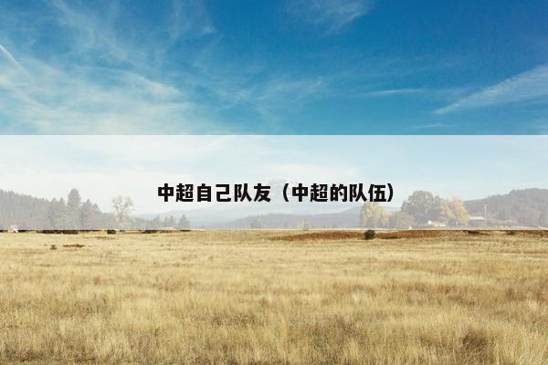 中超自己队友（中超的队伍）
