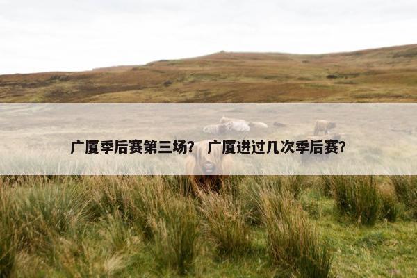 广厦季后赛第三场？ 广厦进过几次季后赛？