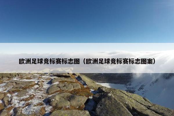欧洲足球竞标赛标志图（欧洲足球竞标赛标志图案）