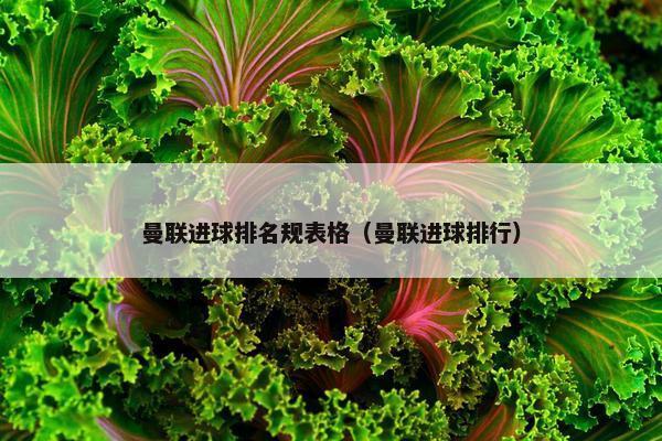 曼联进球排名规表格（曼联进球排行）