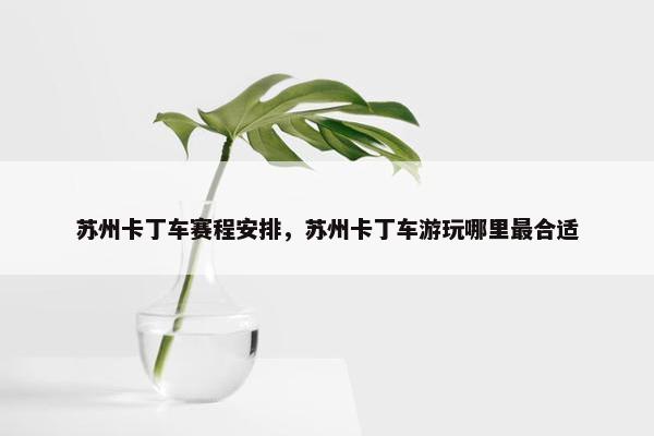 苏州卡丁车赛程安排，苏州卡丁车游玩哪里最合适