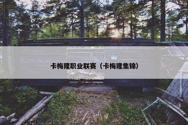 卡梅隆职业联赛（卡梅隆集锦）