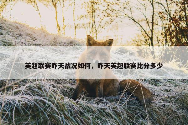 英超联赛昨天战况如何，昨天英超联赛比分多少