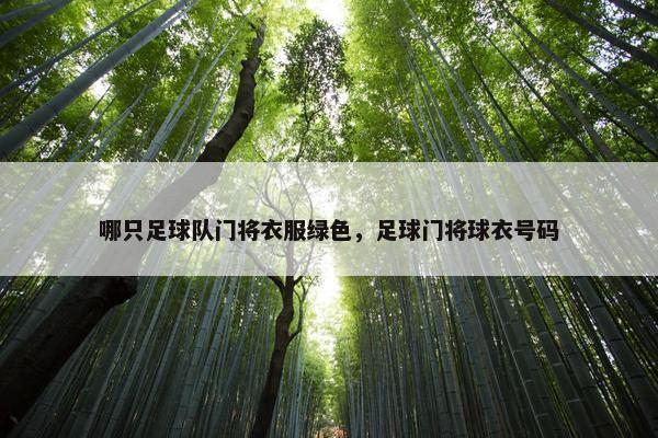 哪只足球队门将衣服绿色，足球门将球衣号码