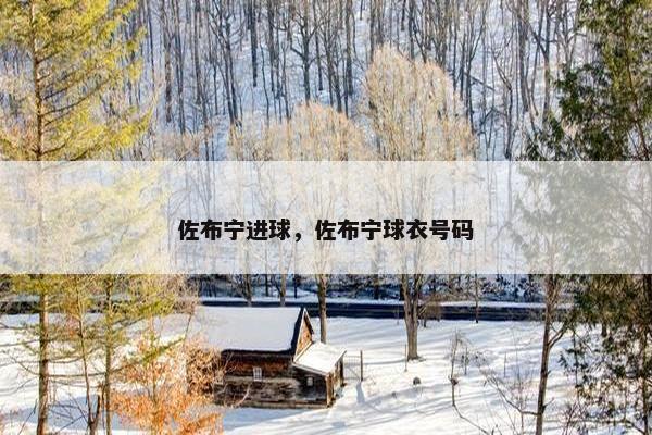 佐布宁进球，佐布宁球衣号码