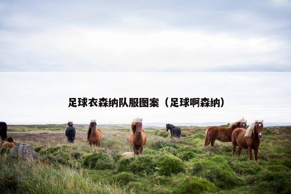 足球衣森纳队服图案（足球啊森纳）