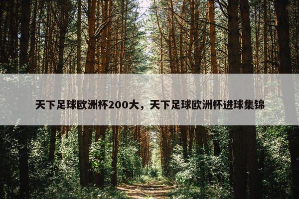 天下足球欧洲杯200大，天下足球欧洲杯进球集锦