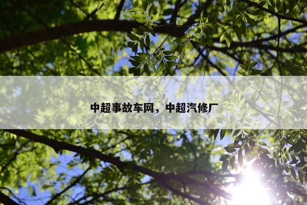 中超事故车网，中超汽修厂