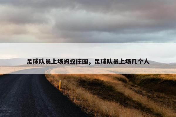 足球队员上场蚂蚁庄园，足球队员上场几个人