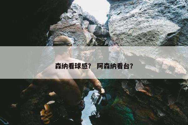 森纳看球感？ 阿森纳看台？
