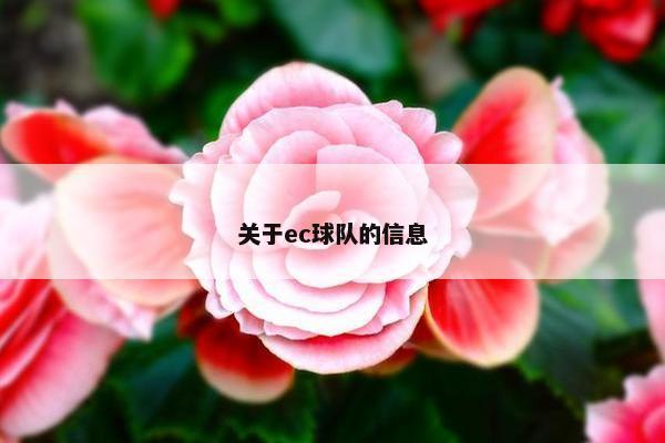 关于ec球队的信息