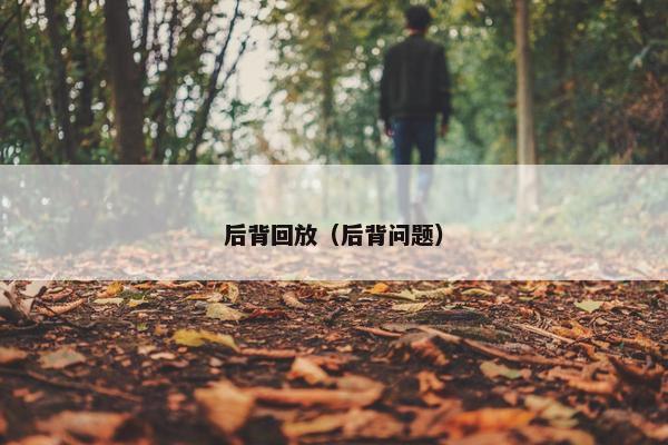 后背回放（后背问题）
