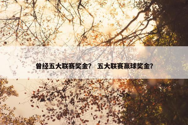 曾经五大联赛奖金？ 五大联赛赢球奖金？