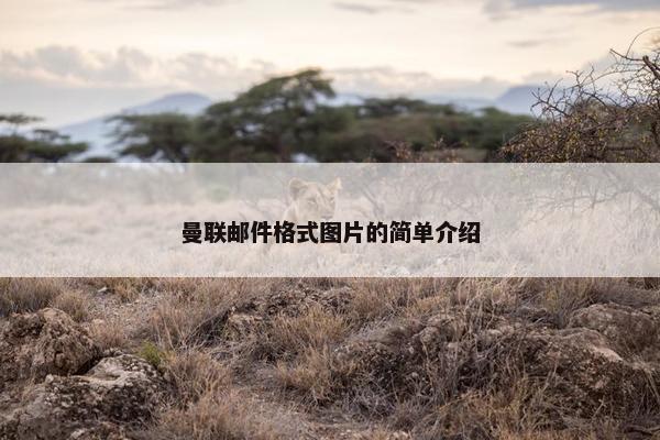 曼联邮件格式图片的简单介绍