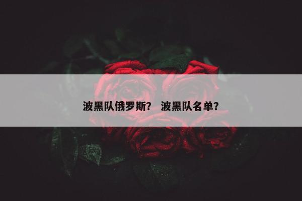 波黑队俄罗斯？ 波黑队名单？
