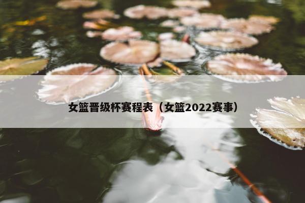 女篮晋级杯赛程表（女篮2022赛事）