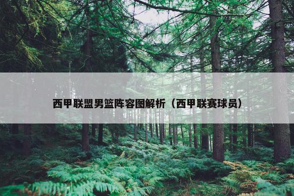 西甲联盟男篮阵容图解析（西甲联赛球员）
