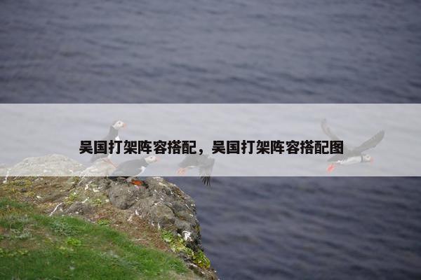 吴国打架阵容搭配，吴国打架阵容搭配图