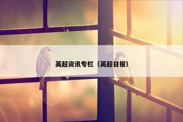 英超资讯专栏（英超日报）
