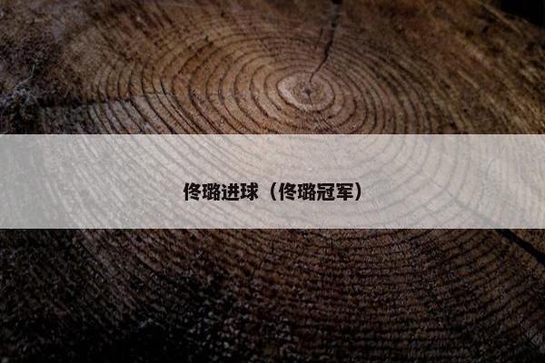 佟璐进球（佟璐冠军）