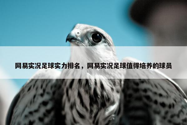 网易实况足球实力排名，网易实况足球值得培养的球员