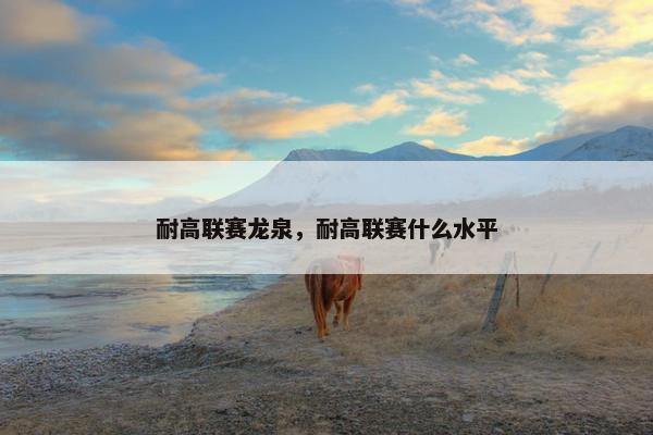 耐高联赛龙泉，耐高联赛什么水平