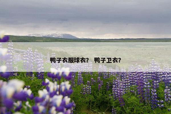 鸭子衣服球衣？ 鸭子卫衣？