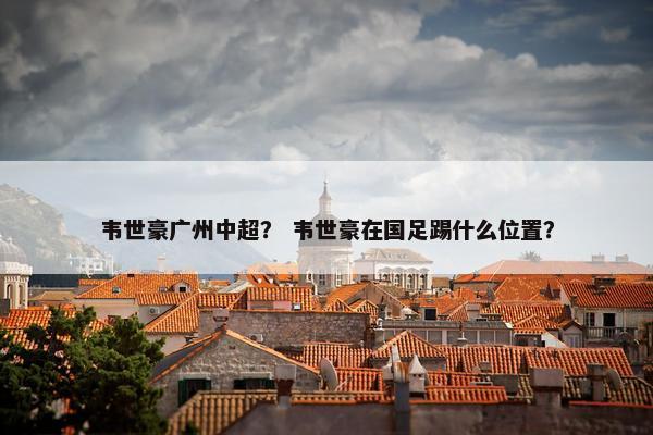 韦世豪广州中超？ 韦世豪在国足踢什么位置？