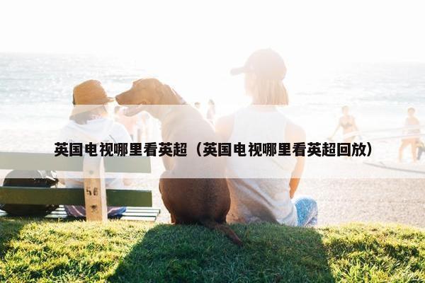 英国电视哪里看英超（英国电视哪里看英超回放）