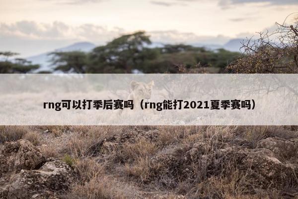 rng可以打季后赛吗（rng能打2021夏季赛吗）