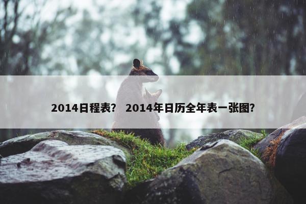 2014日程表？ 2014年日历全年表一张图？