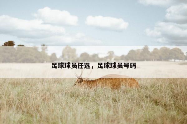 足球球员任选，足球球员号码