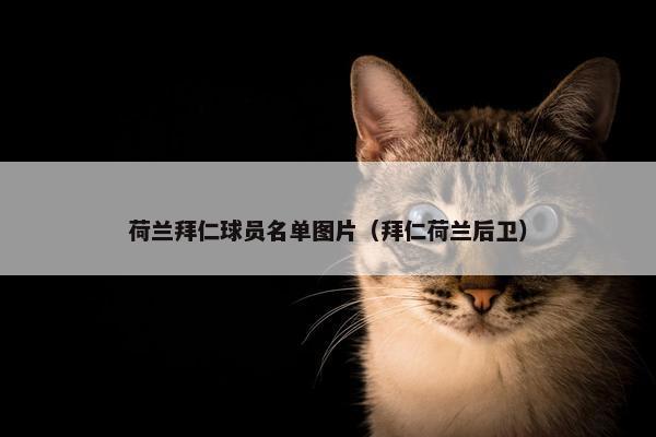 荷兰拜仁球员名单图片（拜仁荷兰后卫）