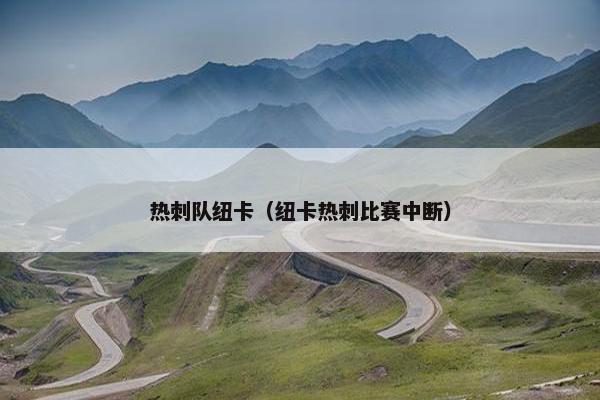热刺队纽卡（纽卡热刺比赛中断）