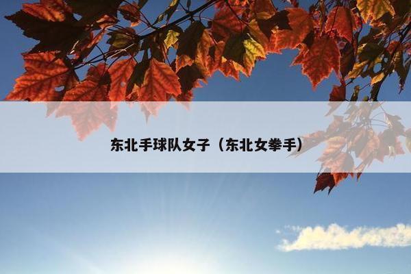 东北手球队女子（东北女拳手）