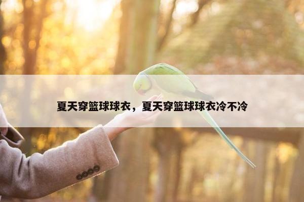 夏天穿篮球球衣，夏天穿篮球球衣冷不冷