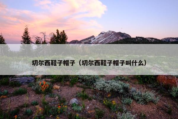 切尔西鞋子帽子（切尔西鞋子帽子叫什么）