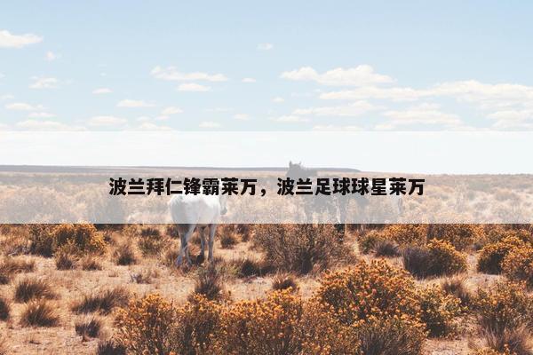 波兰拜仁锋霸莱万，波兰足球球星莱万