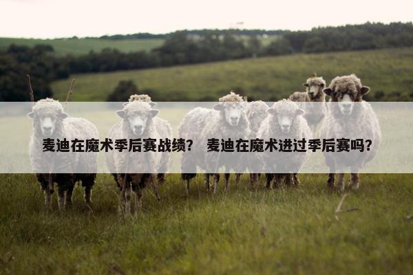 麦迪在魔术季后赛战绩？ 麦迪在魔术进过季后赛吗？