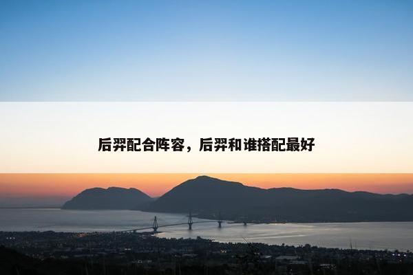 后羿配合阵容，后羿和谁搭配最好