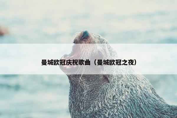 曼城欧冠庆祝歌曲（曼城欧冠之夜）