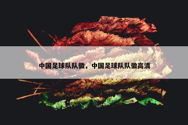 中国足球队队徽，中国足球队队徽高清