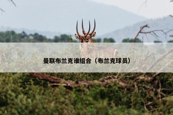 曼联布兰克谁组合（布兰克球员）