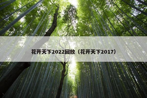 花开天下2022回放（花开天下2017）