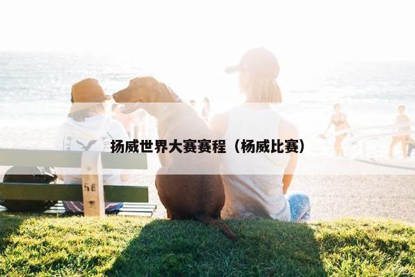 扬威世界大赛赛程（杨威比赛）